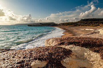Paramali Turtle Beach in november sun; Cyprus