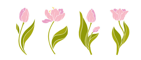 Set of spring flowers pink tulip. Seasonal botanical elements. Vector graphics.