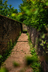 Philosophenweg (Philosophers' Path) in Heidelberg, Germany, a popular hiking Path, on a sunny Summer Day with blue Sky; Copyspace