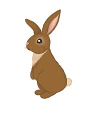 Illustration of cute bunny rabbit hare