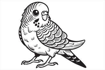 Line art of Budgerigar vector