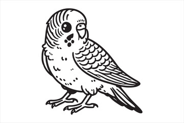 Line art of Budgerigar vector