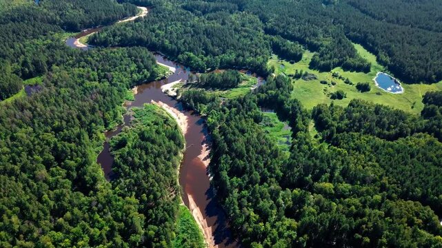 Aerial drone view landscape winding river with sandbanks among forest. High quality 4k footage