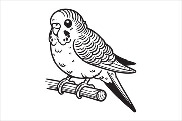 Line art of Budgerigar vector