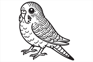 Fototapeta premium Line art of Budgerigar vector