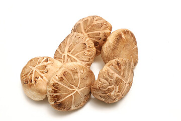 Fototapeta premium 白背景の生椎茸