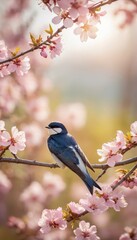 Close-up of a swallow resting among cherry blossoms, capturing the spirit of springtime with vivid colors and soft natural light