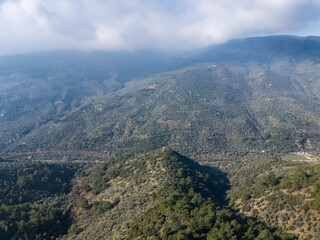 Low clouds covering lush green mountain slopes on sunny day