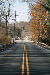 Verschlungene Landstra&szlig;e im Herbst mit gelben Markierungen