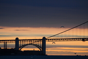Sunset over bridge silhouette with birds flying in the evening sky
