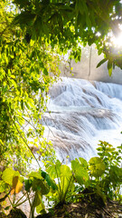 Landsape of Agua Azul with waterfalls in the Tropical forest of Palenque in Mexico.  