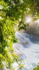 Landsape of Agua Azul with waterfalls in the Tropical forest of Palenque in Mexico.  
