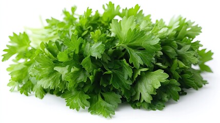 Fototapeta premium Fresh Green Parsley Bunch Isolated On White Background