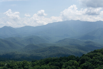 Serene Mountain Landscape with Rolling Fog and Lush Greenery