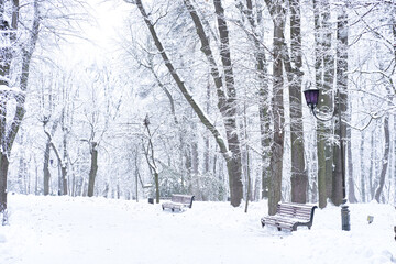 Serene winter park scene with snow-covered benches, trees and vintage lamp post. soft white snow blankets the landscape, creating a tranquil atmosphere perfect for seasonal and outdoor-themed designs 