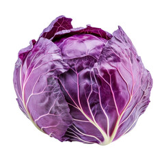 Obraz premium Fresh purple cabbage on a transparent background showcasing vibrant colors and natural textures for culinary inspiration, Purple cabbage on transparent background