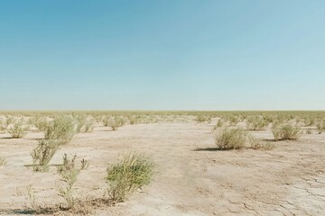 Low-lying shrubs dot the dry, cracked earth of a desert landscape stretching towards the horizon under a clear blue sky, highlighting the resilience of life in harsh conditions