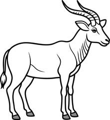 Addax line arts with white background. Addax portrait monochrome hand drawn animal illustration, transparent background