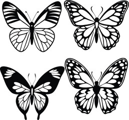 Obraz premium Admiral butterfly line arts with white background. Butterflies in vintage style set. Outlined sketches of flying insects, moths species collection. Retro detailed line drawings.