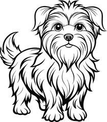 Affenpinscher line arts with white background. Affenpinscher portrait silhouette of hand drawn animal illustration