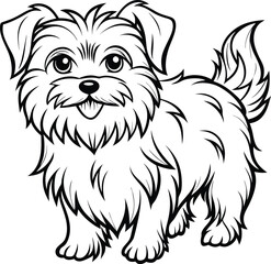 Affenpinscher line arts with white background. Affenpinscher portrait silhouette of hand drawn animal illustration