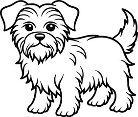 Affenpinscher line arts with white background. Affenpinscher portrait silhouette of hand drawn animal illustration