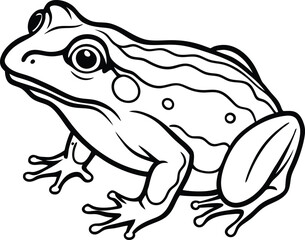 African Bullfrog Black Silhouette Vector Design. African bullfrog line arts with white background