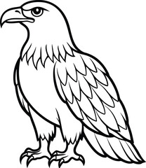 African fish eagle  line arts with white background . Realistic African Fish Eagle swoop attack hand drawn and paint color on checkered pattern background 