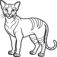 African golden cat  line arts with white background . African golden cat vector illustration on white background