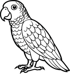 African grey parrot line arts with white background . Vector black gray African parrot silhouette isolated on white background © Bharotray
