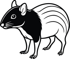 Agouti cute animal in colorful cartoon style isolated on white background. Vector graphics.