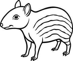 Agouti cute animal in colorful cartoon style isolated on white background. Vector graphics.