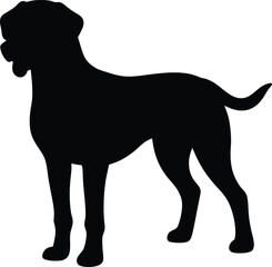 Akbash dog hand drawing. Vector illustration isolated on white background.. Akbash line arts with white background 