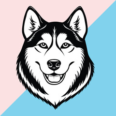 Alaskan klee kai silhouette of a standing dog. Alaskan Klee Kai vector illustration isolated on white background in cartoon style.