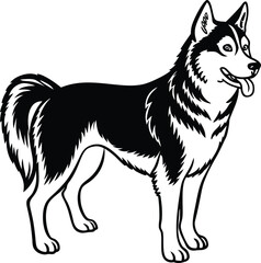 Alaskan klee kai silhouette of a standing dog. Alaskan Klee Kai vector illustration isolated on white background in cartoon style.