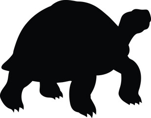 Aldabra giant tortoise  line arts with white background. Tortoise icon vector black silhouette on a white background.