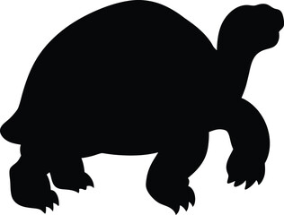 Aldabra giant tortoise  line arts with white background. Tortoise icon vector black silhouette on a white background.