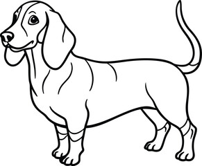 Alpine Dachsbracke Vector Illustration Hand Drawn Animal Cartoon Art. Dachsbracke line arts with white background.