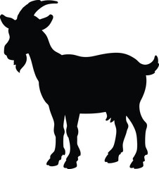 Alpine goat line arts with white background. Mountain goat, outline vector illustration. Ibex or urial wild horned animal for zoo design