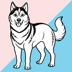 Alusky hand drawing vector isolated on white background. vector illustration of wolf. 