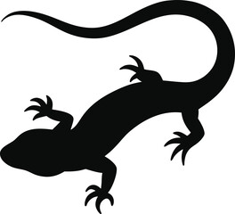 Lizard silhouette with white background. Reptile vector monochrome illustration isolated on white background.