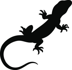 Lizard silhouette with white background. Reptile vector monochrome illustration isolated on white background.