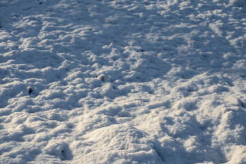 Snow covers surface of a field creating uneven surface. Cold season concept. Winter time. Selective focus.