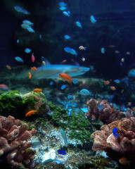 マクセルアクアパーク品川
