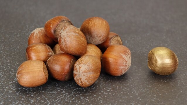 Golden nut concept - Stand out from the crowd and be the golden nut among the great nuts