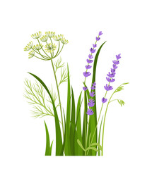 Flowers and herbs. Violet flowers and grass. Bloom and blossom plants. Beautiful bouquet. Floristry and botany. Spring or summer season. Flat vector illustration isolated on white background
