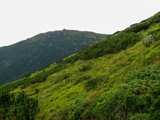 Lush green hillside view under a cloudy sky
