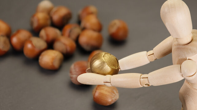 Find the golden nut or nugget among the hollow nuts - with blurred background