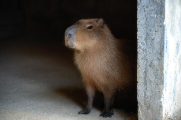 霞ヶ浦ふれあいランド
