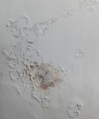Abstract texture of Moldy wall. Close up photography